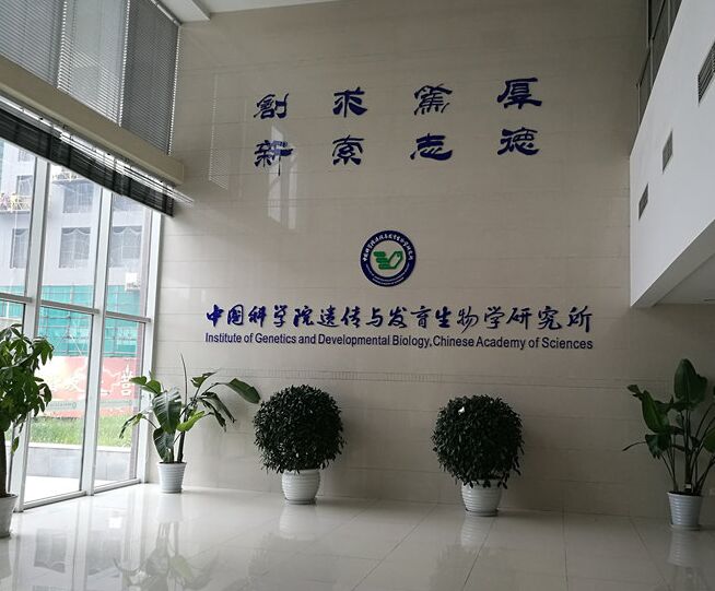 Institute of Genetics and Developmental Biology, Chinese Academy of Sciences uses our automatic seeding counting machine